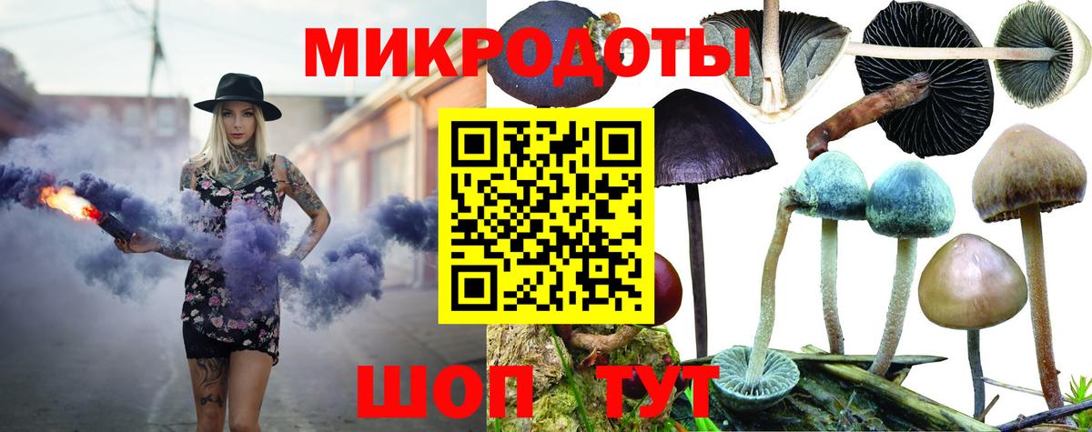Галлюциногенные грибы мухоморы Петровск