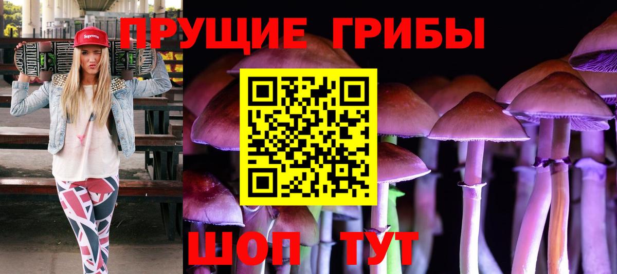 Галлюциногенные грибы Psilocybine cubensis  Вход с VPN  Петровск 