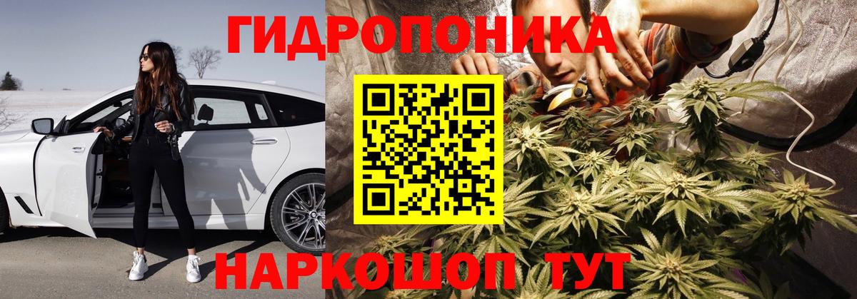 Канабис ГИДРОПОН  МАРИХУАНА тримм  Вход с VPN  Петровск  Шишки марихуана Ganja  Бошки марихуана VHQ 